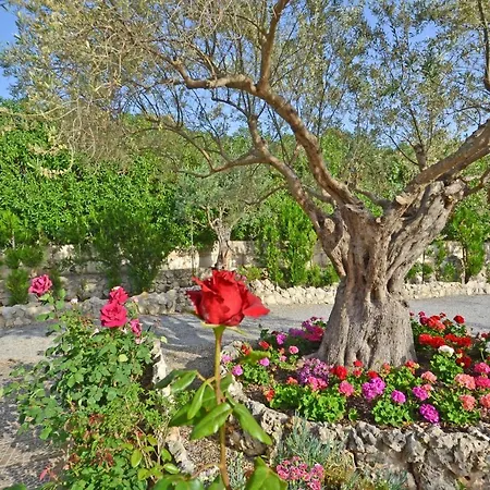 Villa Casa Maria Alcudia (Mallorca)