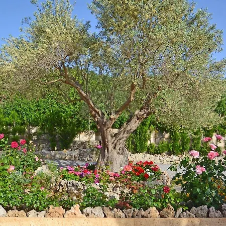 Casa Maria