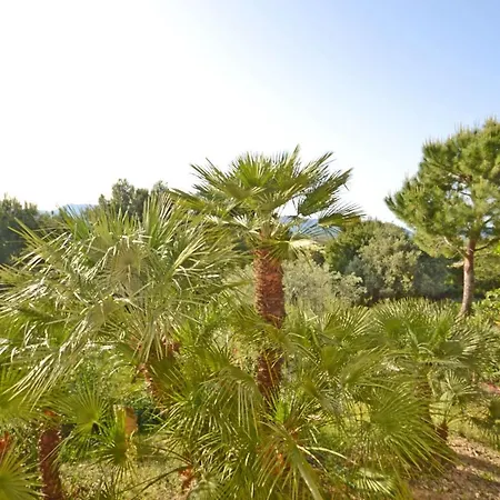 Casa Maria * Alcudia (Mallorca)